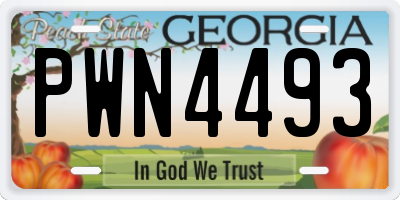 GA license plate PWN4493