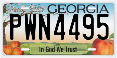 GA license plate PWN4495
