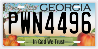 GA license plate PWN4496