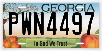 GA license plate PWN4497