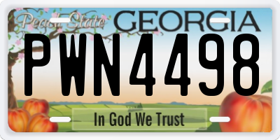 GA license plate PWN4498