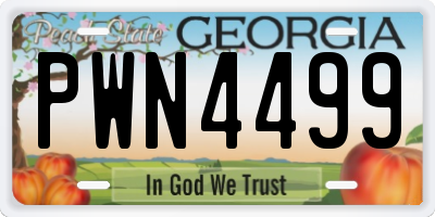 GA license plate PWN4499