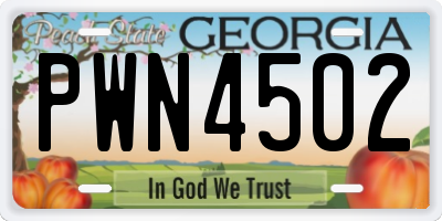 GA license plate PWN4502