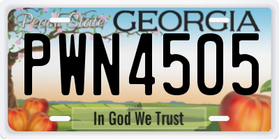 GA license plate PWN4505