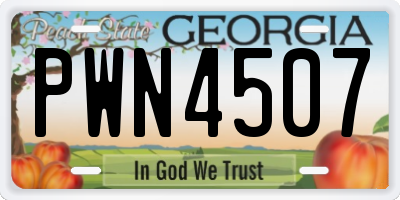 GA license plate PWN4507