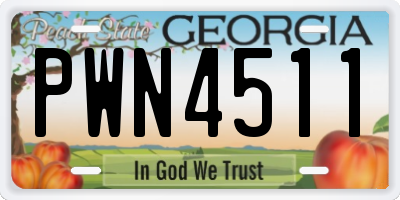 GA license plate PWN4511