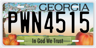 GA license plate PWN4515