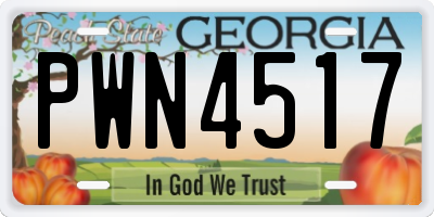GA license plate PWN4517