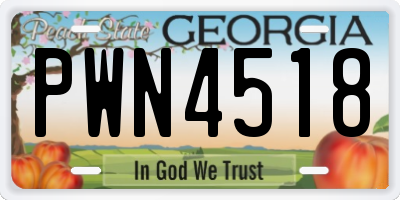 GA license plate PWN4518