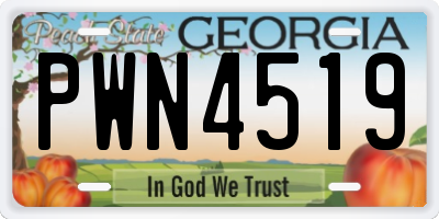 GA license plate PWN4519
