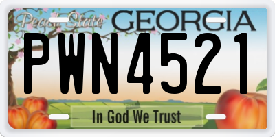 GA license plate PWN4521