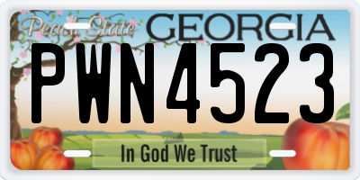 GA license plate PWN4523