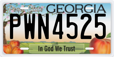 GA license plate PWN4525