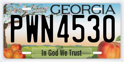 GA license plate PWN4530