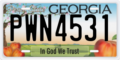 GA license plate PWN4531