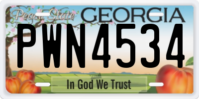 GA license plate PWN4534