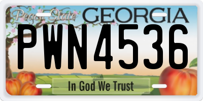 GA license plate PWN4536