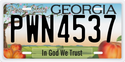 GA license plate PWN4537