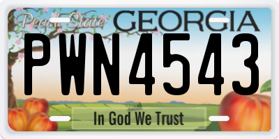 GA license plate PWN4543