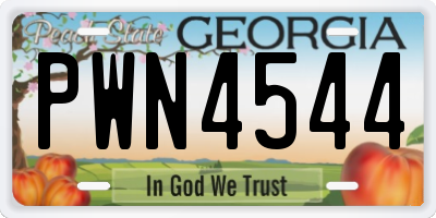 GA license plate PWN4544