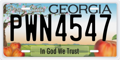 GA license plate PWN4547