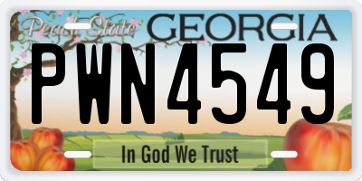 GA license plate PWN4549