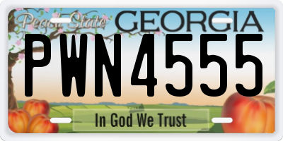 GA license plate PWN4555