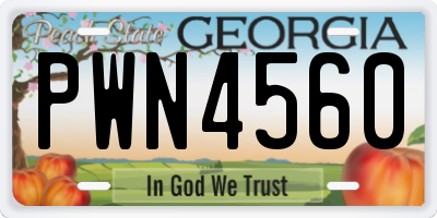 GA license plate PWN4560