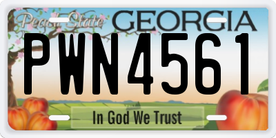 GA license plate PWN4561