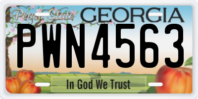 GA license plate PWN4563
