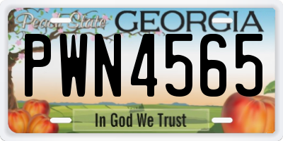 GA license plate PWN4565