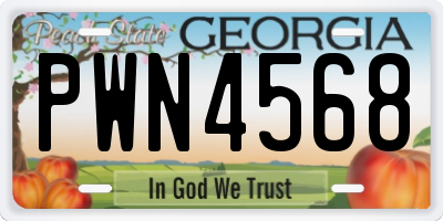 GA license plate PWN4568