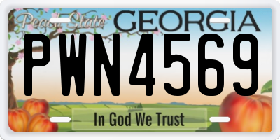 GA license plate PWN4569