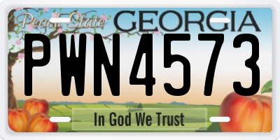 GA license plate PWN4573
