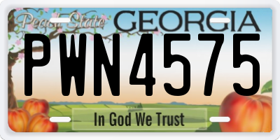 GA license plate PWN4575