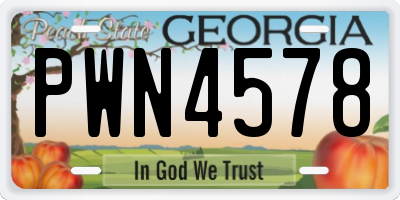GA license plate PWN4578