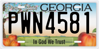 GA license plate PWN4581