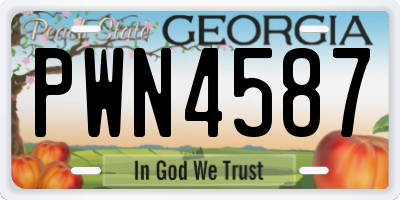 GA license plate PWN4587