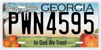 GA license plate PWN4595