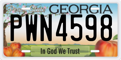 GA license plate PWN4598