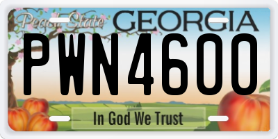 GA license plate PWN4600
