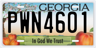 GA license plate PWN4601