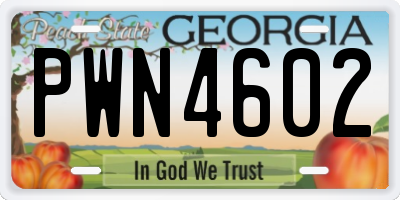 GA license plate PWN4602