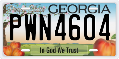 GA license plate PWN4604