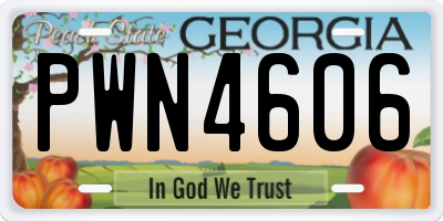GA license plate PWN4606
