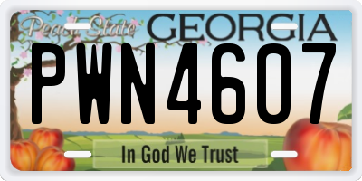 GA license plate PWN4607