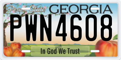 GA license plate PWN4608