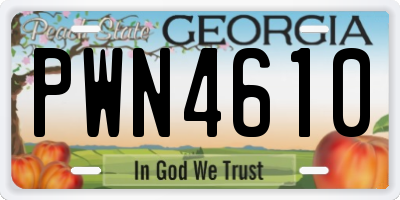GA license plate PWN4610