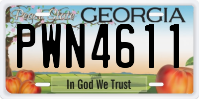GA license plate PWN4611