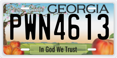 GA license plate PWN4613